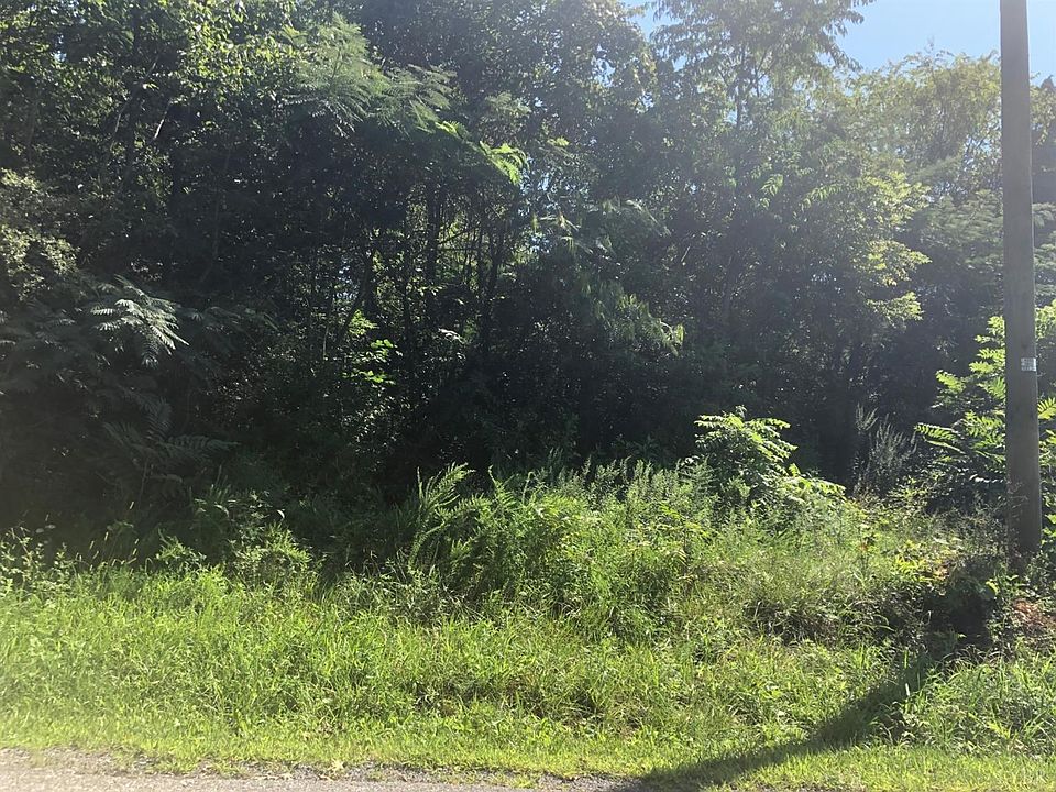 2nd image of 0 Wards Rd Lot 11