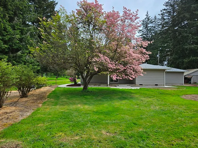 47524 E Lyons Mill City Dr — Photo 29