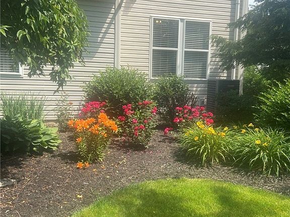 3rd image of 35149 Emory Dr