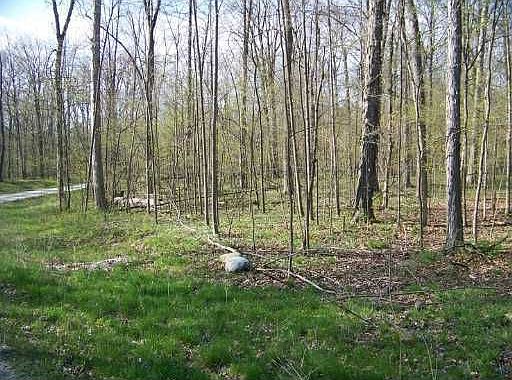 2nd image of 3819 Hawk Crest Rd