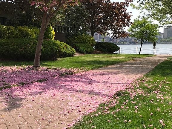 Springtime at the River