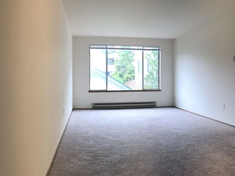 The Shannon Apartments — Photo 19