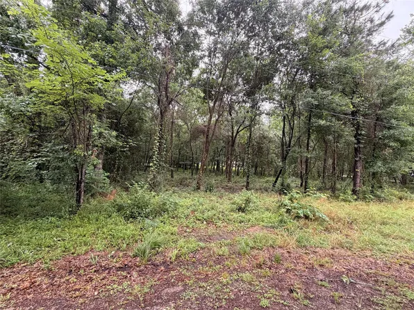 5265 Pecan Tree Ln Lot 93, Montgomery, TX 77316