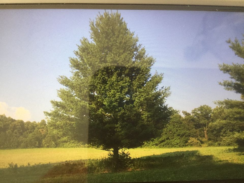 1st image of 85 Acres Highway Aa