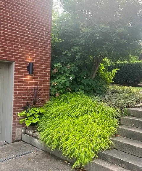6425 Wilkins Ave — Photo 2