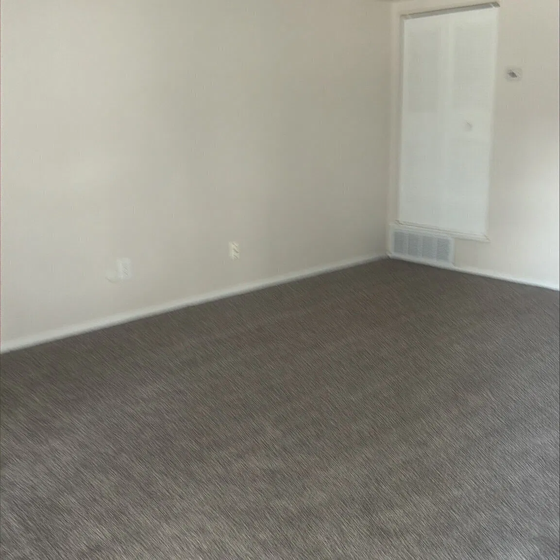 2 bed, 906 sqft, $1,388 — Photo 3