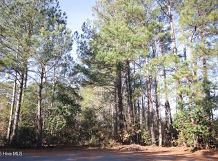 LOT 13 Sykes St, Tabor City, NC 28463
