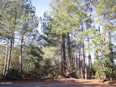 Lot 13 Sykes Street, Tabor City, NC, 28463