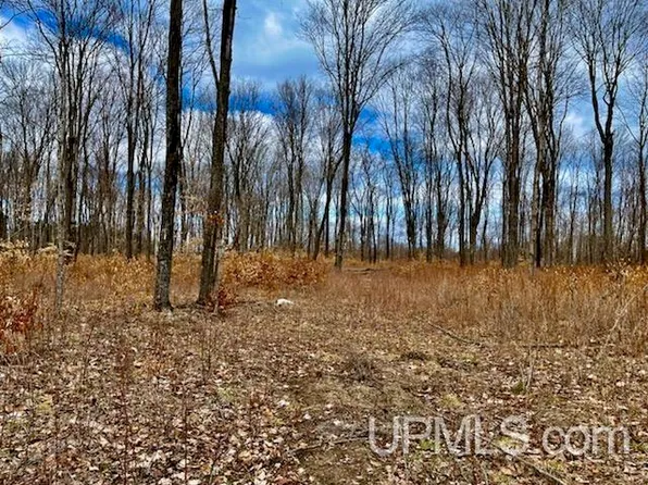 Hardwoods Dr Lot 26, Manistique, MI 49854