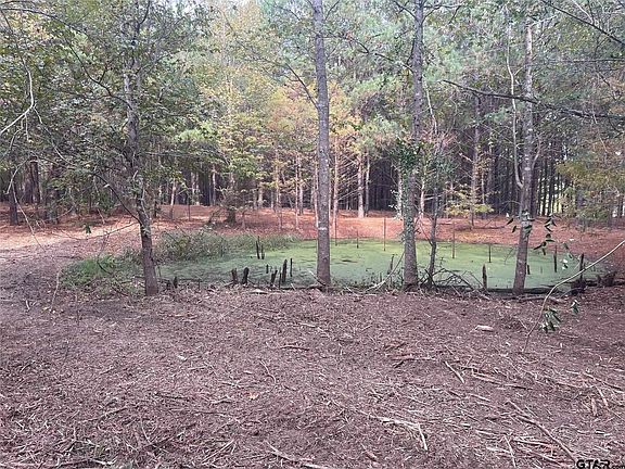4th image of 21817 County Road 2160