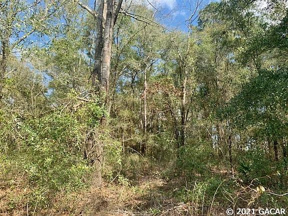 4th image of 323 SW Woodleaf Ct