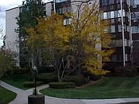 1st image of 6960 E Girard Ave APT 308