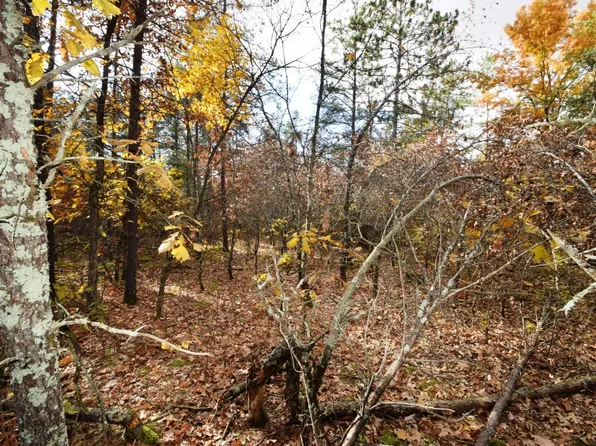 Foxes Landing Rd, Grantsburg, WI 54840