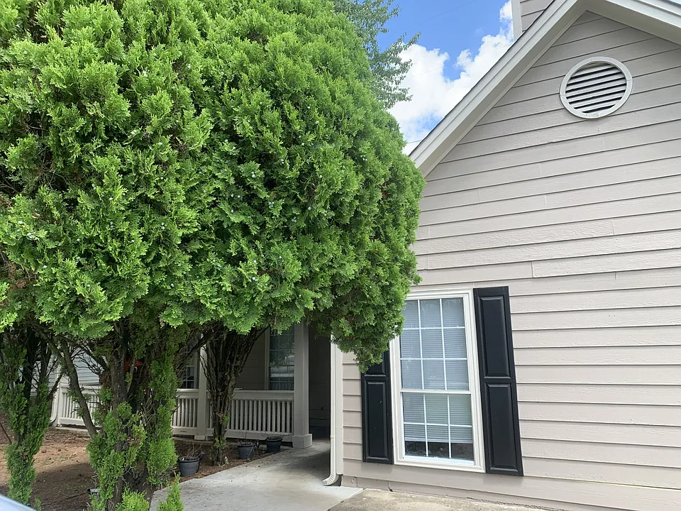 3205 Trotters Walk Cir