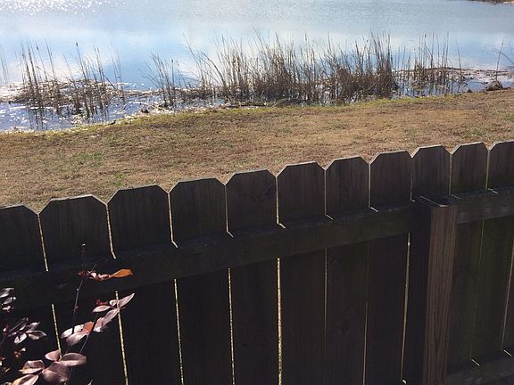 backyard looking out at lake