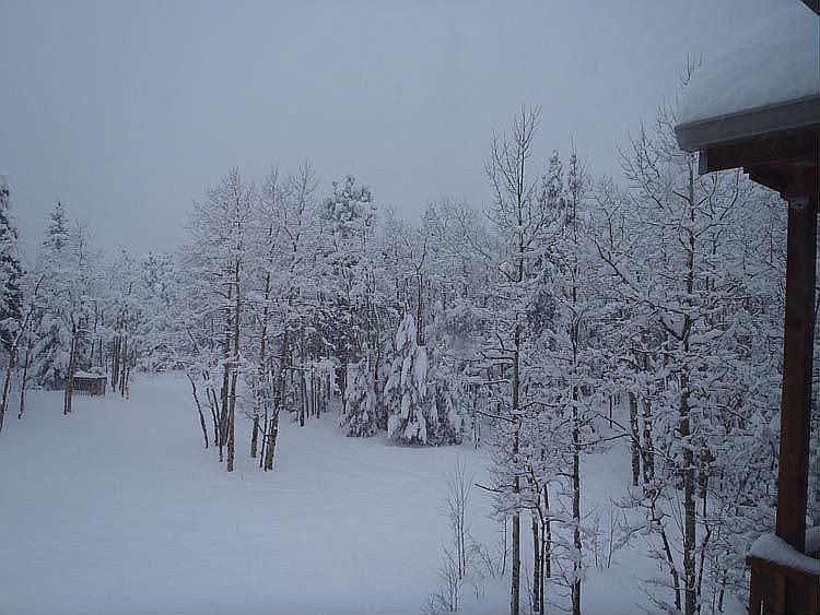 Snowy Day from Living Room Bay Window