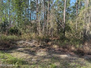 0 WOLF Trail, Middleburg, FL 32068
