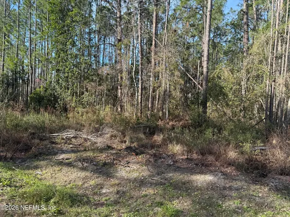 0 WOLF Trail, Middleburg, FL 32068