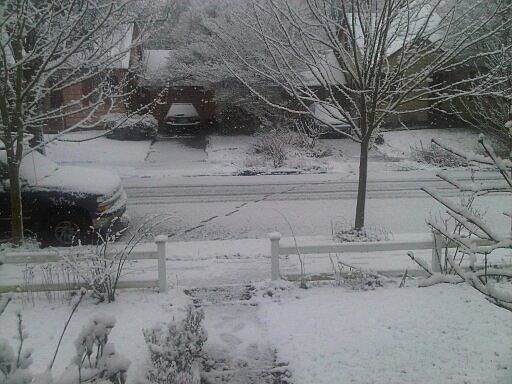 Winter, view out front door
