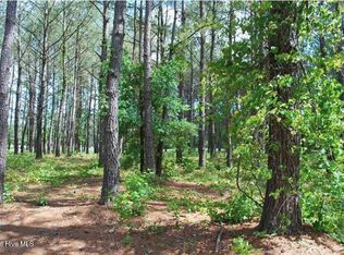795 Wild Oak Ln NW LOT L-45, Calabash, NC 28467