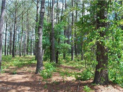 795 Wild Oak Lane NW LOT L-45, Calabash, NC, 28467