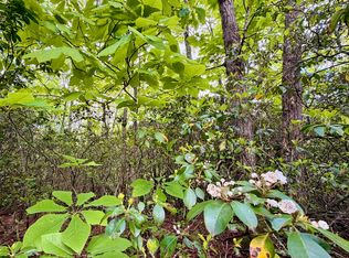0 Black Gum Gap Rd, Gatlinburg, TN 37738
