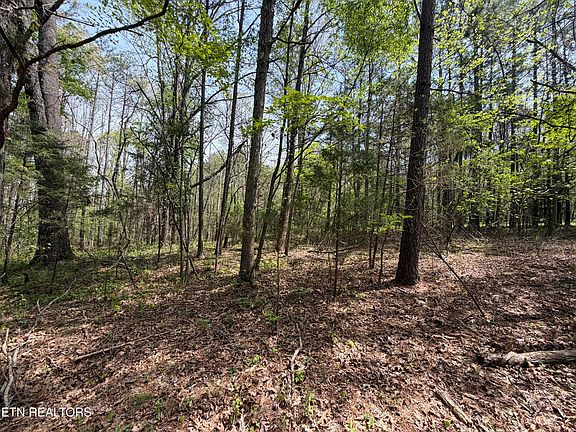 3rd image of 3.04 Dry Valley Rd