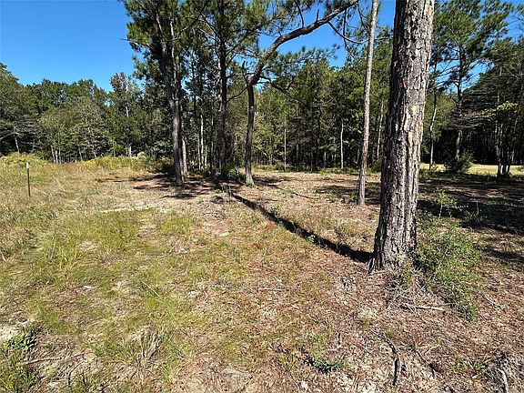 5th image of 1 Grace Ln