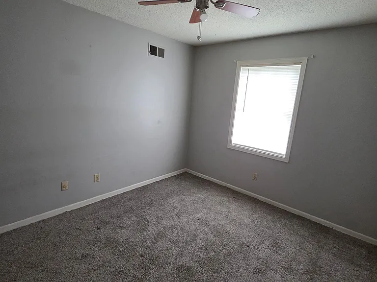 3890 Dante Cv — Photo 4
