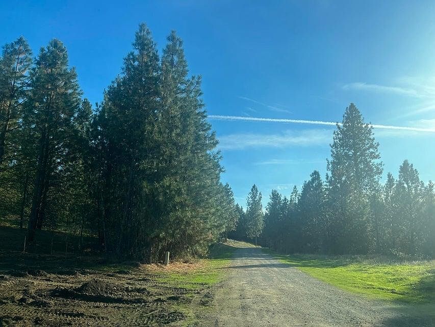 2nd image of 1412 Ponderosa Way