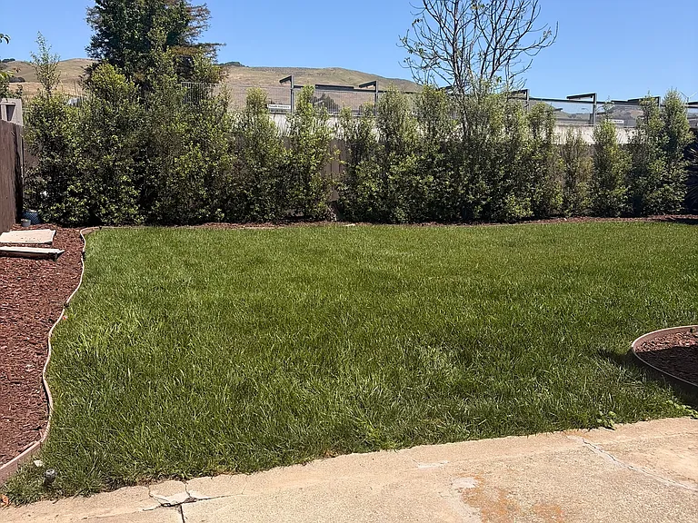 28416 Cole Pl — Photo 14