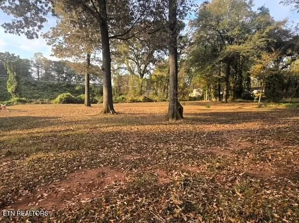 174 Franklin Dr Lot 10, Benton, TN 37307