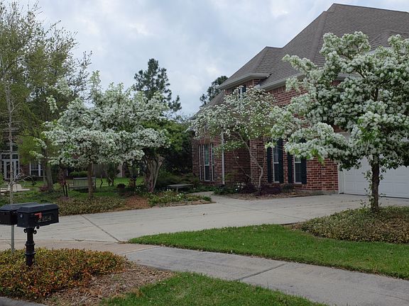 Springtime front view