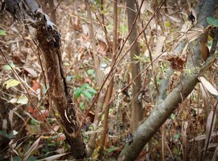 Collier Creek Rd, Martha, KY 41159