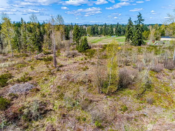 0 40th Avenue S, Roy, WA 98580