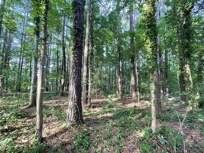211 Pleasants Ave #3B, Cary, NC, 27511