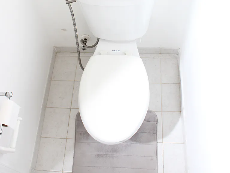 Master bedroom toilet
