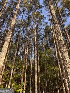 0 Conger Rd, Union Pt, GA, 30669
