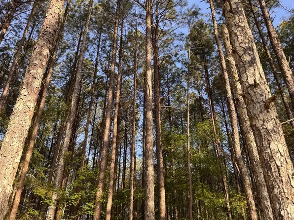 0 Conger Rd, Union Pt, GA 30669