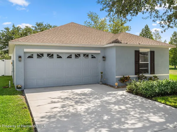 32201 Brookstone Dr, Wesley Chapel, FL 33545