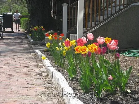 3 bed, 1.0 bath, $4,000 — Photo 3