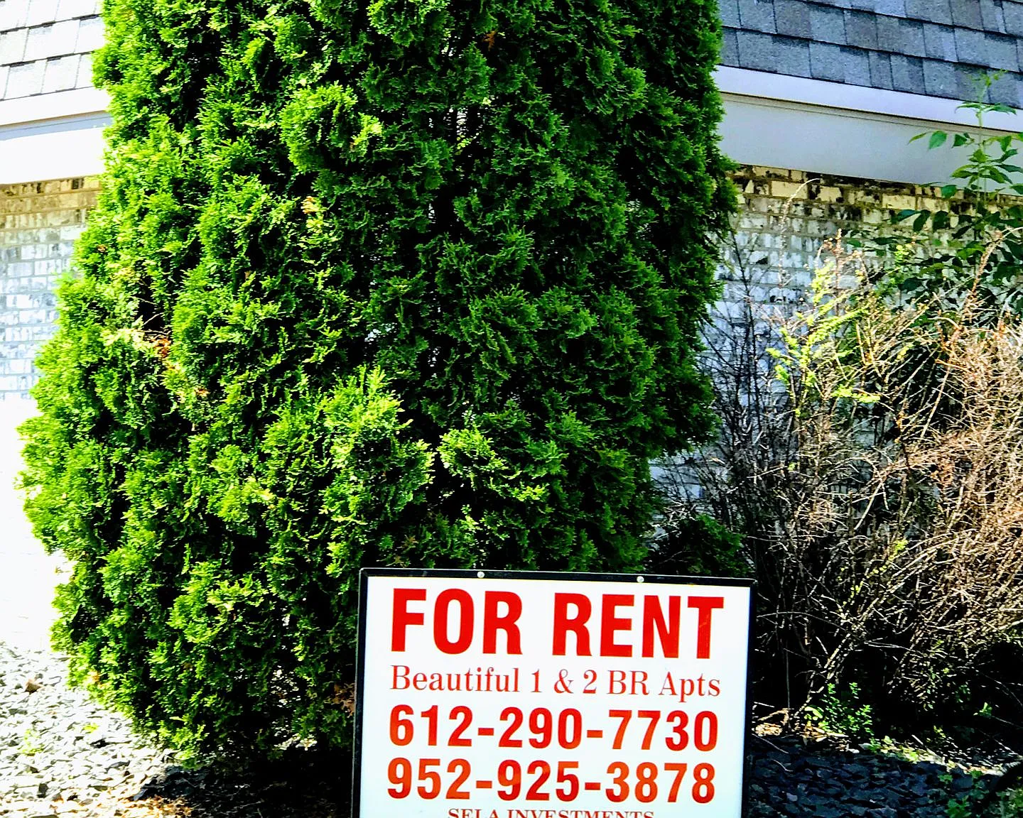 3452 Emerson Ave S. — Photo 3