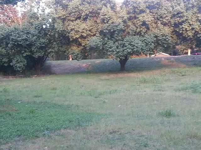 2nd image of 314 Larkin Springs Rd