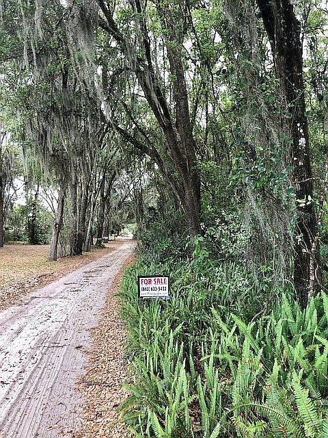 1st image of 193 Little Orange Lake Dr
