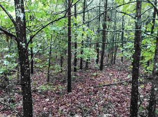 847 Gannon Ridge Rd, Shirley, AR 72153