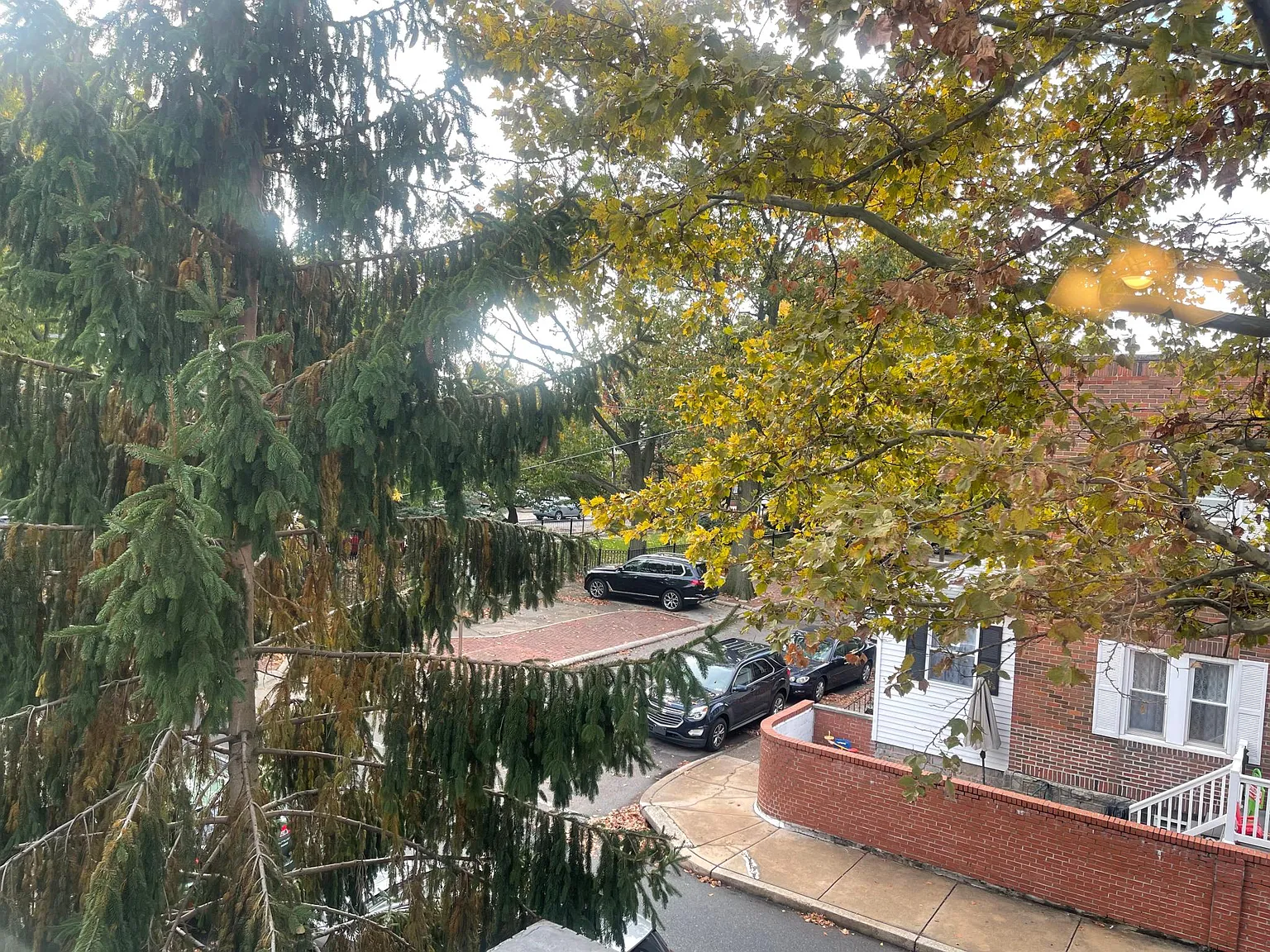 1 bed, 800 sqft, $1,350 — Photo 1