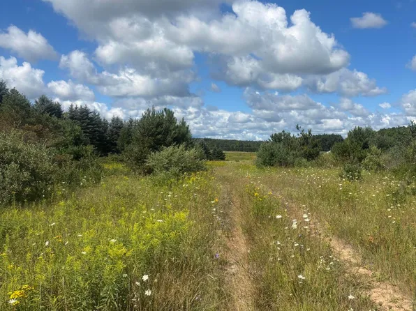 33 M, Onaway, MI 49765