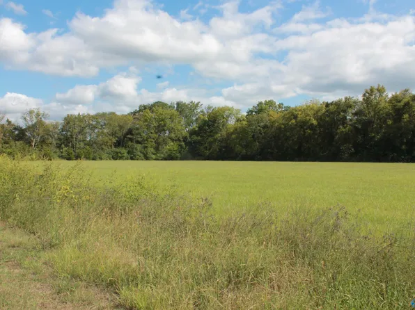 Culver Rd, Falkville, AL 35622