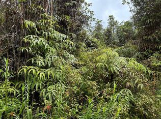 Hibiscus St, Mountain View, HI 96771