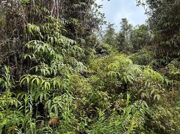 Hibiscus St Lot 7328, Mountain View, HI 96771